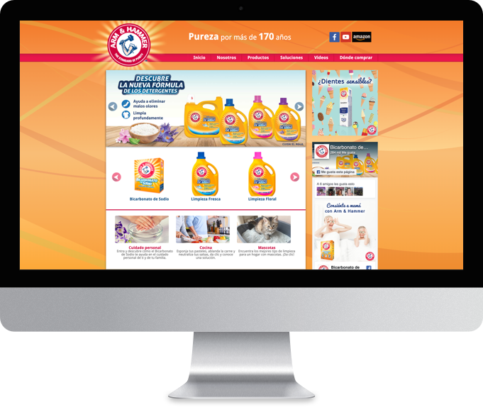 Sitio web Arm And Hammer